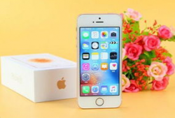 苹果袋怎么套视频教程,轻松掌握果实保护技巧