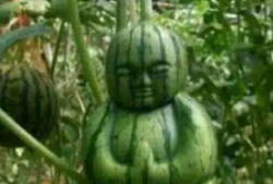 阳江吃瓜爆料事件真相,揭秘背后真相，还原事件全貌