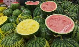 无锡吃瓜爆料事件真相,揭秘背后真相，还原事件全貌